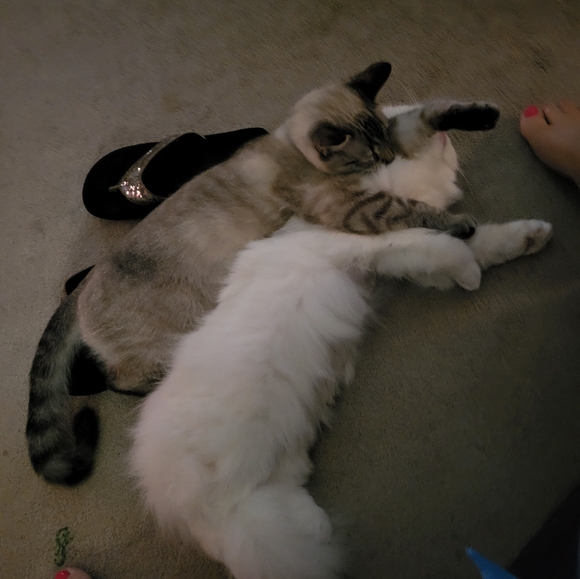 Hi Everyone! - Picture 9 of 9